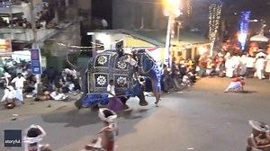 Rampaging elephant tramples bystanders during parade in Sri Lanka