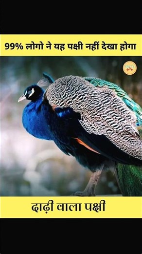 Top 10 animal's facts | #shorts