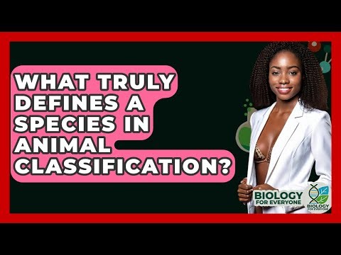 What Truly Defines A Species In Animal Classification? - Biology For Everyone