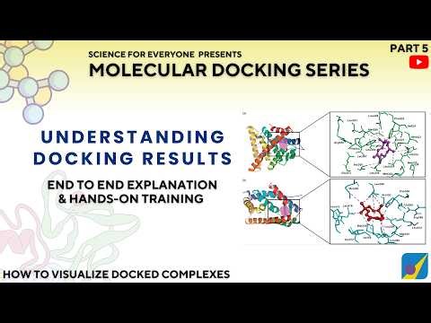 How to Interpret Molecular Docking Results
