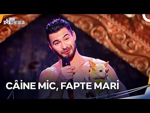 Acest Câine A Făcut Lucruri Mai Mari Decât Statura Lui! | Romanii au Talent