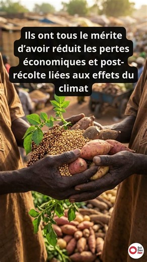Climat : Valoriser les mesures d’adaptation développées localement en Afrique