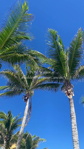Invierno en Golden Parnassus Cancún: Ofertas Especiales