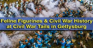 Feline Dioramas and Civil War History at Civil War Tails in Gettysburg