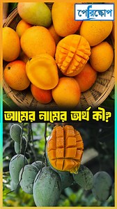 1.2M views · 10K reactions | আমের নামের অর্থ! | Periscope Videos | Facebook