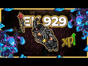 EK 929 Hunt Solo Gold Token (Svar Void + Strong HP) 5.1kk/h Raw + 2.4kk Profit - Tibia Hunt [15.13]