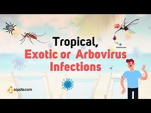 Tropical, Exotic or Arbovirus Infections | Introduction