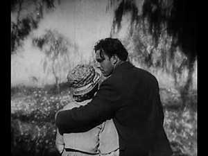 F. W. Murnau Sunrise (1927) - Scene