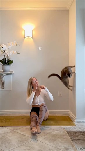 What I did doesn’t matter 😂 #bloopers #cats #funnycats