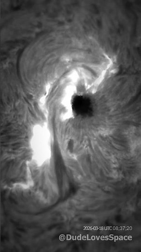 Listen to this Sunspot Erupt! #sun #astronomy #space
