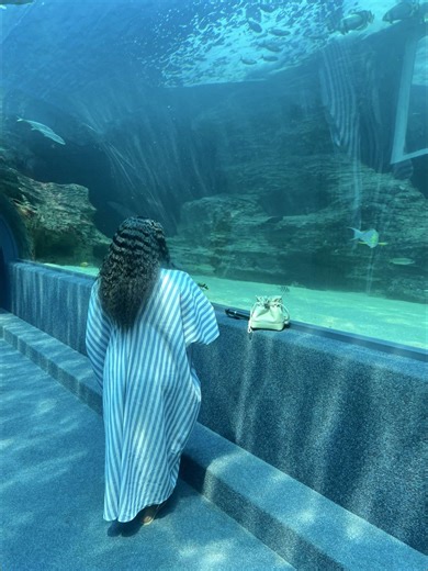 Celebrating God's Creativity in Everyday Life