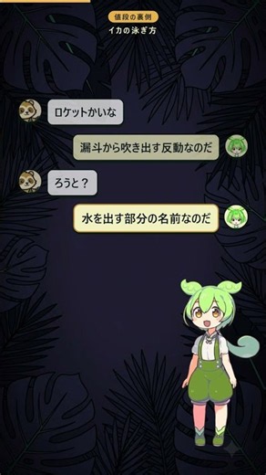 イカ｜水を吹き出した反動で泳いでいます