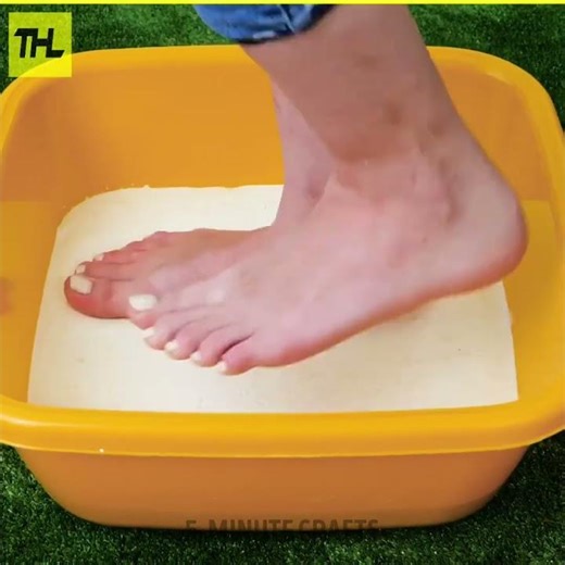 Mind-Blowing Science Tricks You Must Try 🤯 | Crazy Experiments Explained