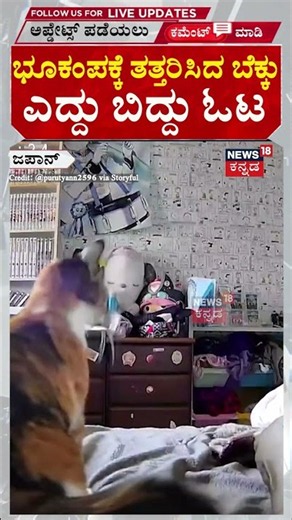 Shocking Pet Cam Footage | ಭೂಕಂಪಕ್ಕೆ ತತ್ತರಿಸಿದ ಜಪಾನ್ ಬೆಕ್ಕು | N18G