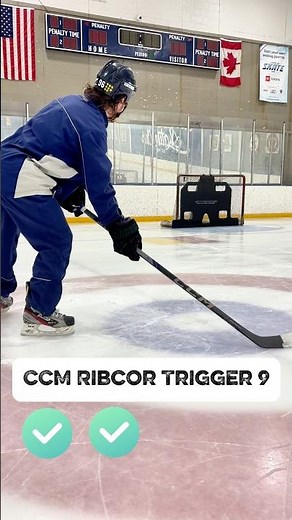 Testing the CCM Ribcor Trigger 9