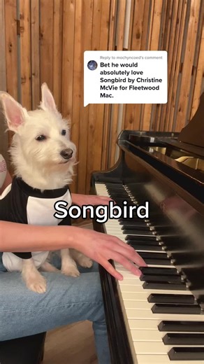 Songbird Fleetwood Mac Piano Tutorial