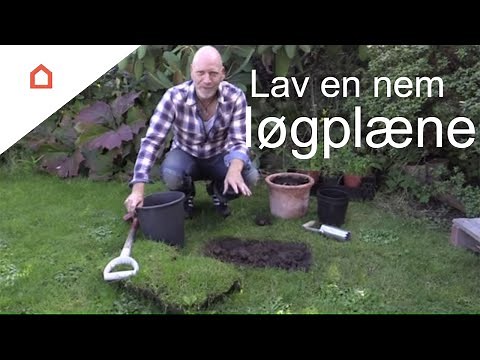 Anlæg en smuk løgplæne i haven