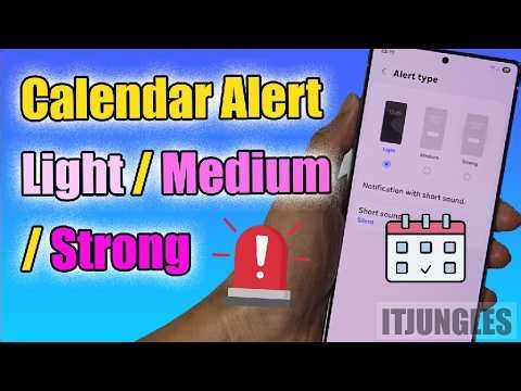 How to Set Calendar Alert Type to Light/Medium/Strong on Samsung Galaxy S25