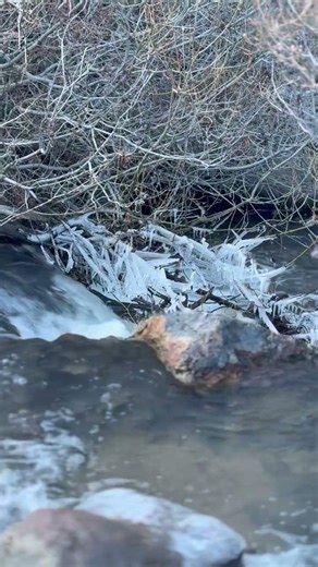 Icicle 🤔🤔#icicle #snow
