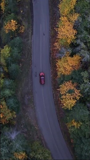 No Roads? No Problem. This Ride’s Built for It.