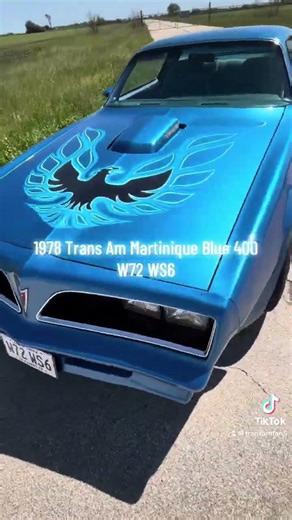 1978 Trans Am Martinique Blue W72 WS6 w/39k original miles.