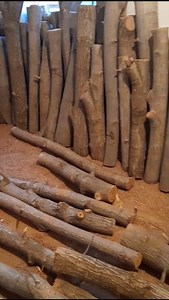 #wooddryingprocess#rawwoodcuts#lumberdrying#workshoplife#timberstacking#freshcutlogs#dryingwood