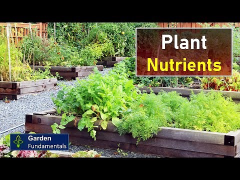The Secret to Great Plants - Plant Nutrients
