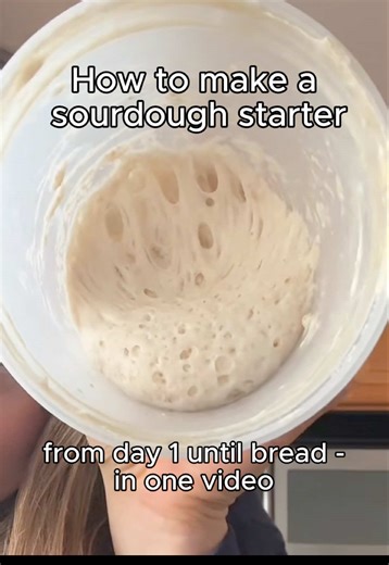 14 days of sourdough starter in ONE VIDEO👀 i wanted to make a compilation video so you can see the whole process in one place BUT if you need more details the day by day videos (& my final bread recipe) are posted on my page! lmk all your questions & i hope this helps❤️ #sourdough #sourdoughbread #sourdoughtok #sourdoughstarter #sourdoughforbeginners