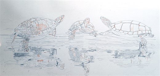 Here is a little video showing the stages of my painting "Turtle Trio" that I completed last week. | Robin Maxon Watercolors