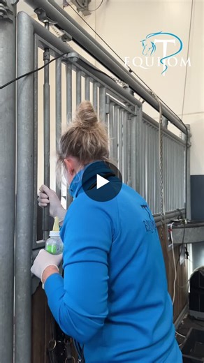 A mini foal weighing less than 11 kg During the foaling season, we frequently see neonatal foals referred on an emergency basis shortly after birth. This foal was admitqnd in a severely weakened… | EQUITOM