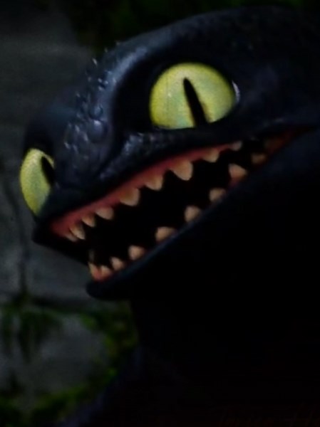 Nostalgic Look Back at Hiccup and Toothless