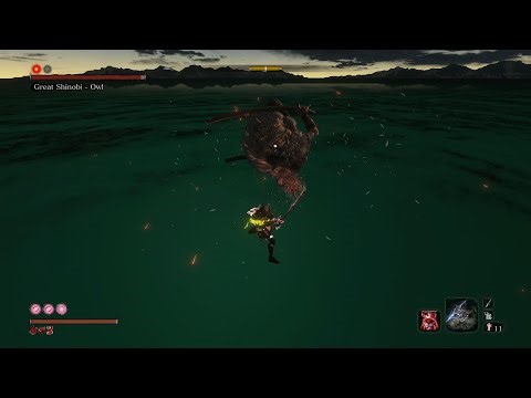 Sekiro- Modded Owl Fight