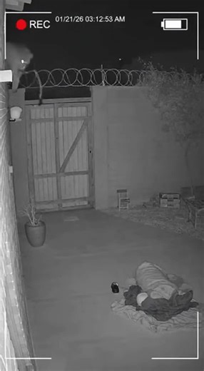 Horror Moments Captured on Camera