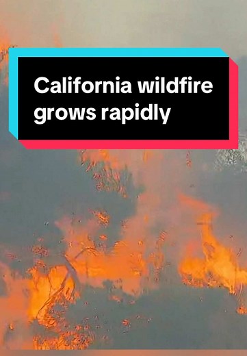 Powerful winds whip up a fire in the coastal Pacific Palisades neighborhood of Los Angeles, forcing 30,000 residents to evacuate. The Palisades blaze has burned more than 1,200 acres, and its cause is under investigation. #fire #wildlife #california #losangeles