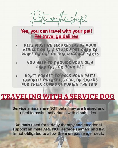 1.7K views | Inter Island Ferry Authority on Reels | Facebook