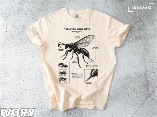 Tarantula Hawk Wasp T-shirt: Entomology, Anatomical Detail, Unique Insect - Etsy
