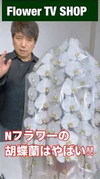 A Must-Watch If You’re Planning to Gift Phalaenopsis Orchids!