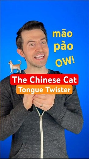 The Chinese Cat (WTF, LOL)