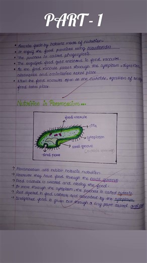 "Life Processes in 60 Seconds: Class 10 Bio Super Quick Revision ⚡🧬" PART 1 !!