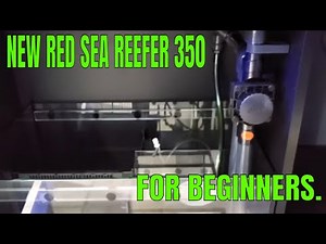 New Red Sea Reefer 350 For Beginners