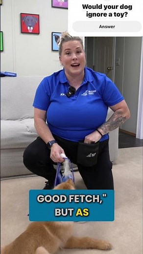 When “Fetch” Fails but Training Wins