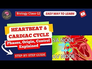 Heartbeat & Cardiac Cycle | Phases, Origin, Control Explained🌬️||Bio_Science Guide📚||