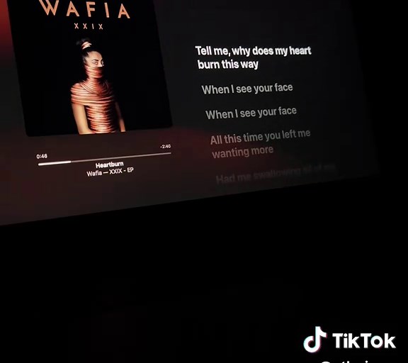 Heartburn Sounds and Lyrics by Wafia