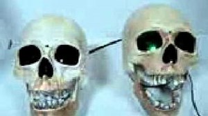 Talking Skulls Prop Video