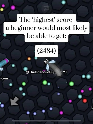 The highest score a beginner player would most likely get (2484) #slitherio #games #2484 #fyp