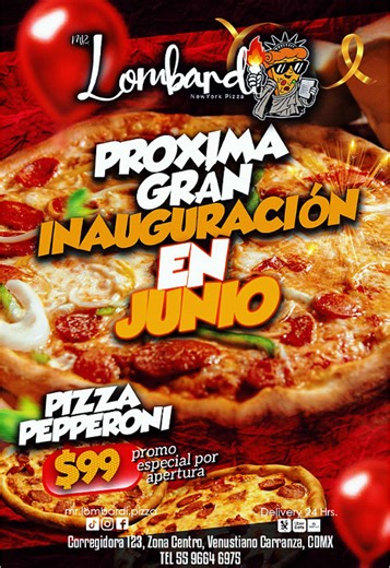 Mr. Lombardi New York pizzas on TikTok