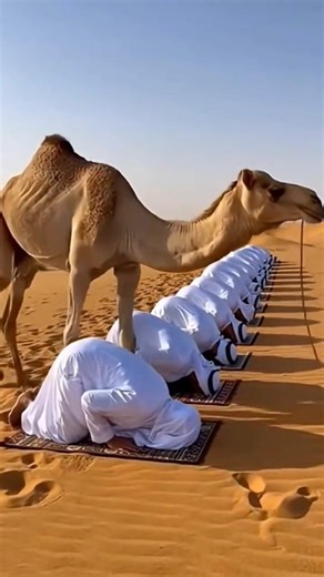 Quran: Recited by Egzon Ibrahimi | العصر تلاوة جميلة #egzonibrahimi #quranrecitation #love