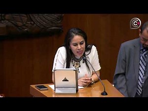 Segunda Sesión Extraordinaria de la Cámara de Senadores, del 28 de mayo de 2026