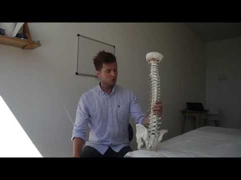 Low back pain - Modic Changes