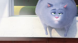 Watch The Secret Life of Pets | Netflix